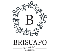 BriRent by Briscapo